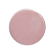 PG Mini M.4905 Universal Pre-Polishing Paste1