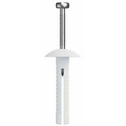 Round Head Nail In Anchor Nylon Body 304 SS Pin - AIMS Industrial Supplies