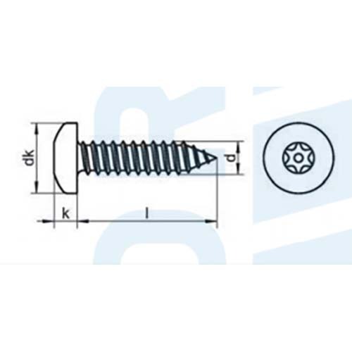 Security Button Post Torx Self Tapping Screw - Stainless Steel2