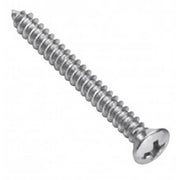 Self Tapping Screw Raised Phillips Assortment Refill - AIMS Industrial Supplies