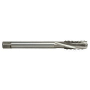 Sutton T184 Metric Spiral Flute Tap - R15 N - Premium HSS - AIMS Industrial Supplies
