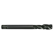 Sutton T190 Metric Spiral Flute Tap - R40 N - Premium HSS Blue - AIMS Industrial Supplies