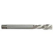 Sutton T196 Metric Spiral Flute Tap - Premium HSS - AIMS Industrial Supplies