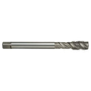 Sutton T236 Metric Spiral Flute Tap - R45 W - Premium HSS Ni - AIMS Industrial Supplies