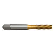 Sutton T464 BSW Thread Forming Tap - Bottoming Short - HSSE V3 Tinite - AIMS Industrial Supplies