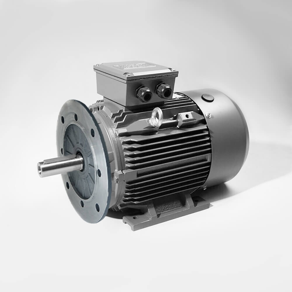 Techtop 415V Three Phase Cast Iron Motor (TCI) - AIMS Industrial Supplies