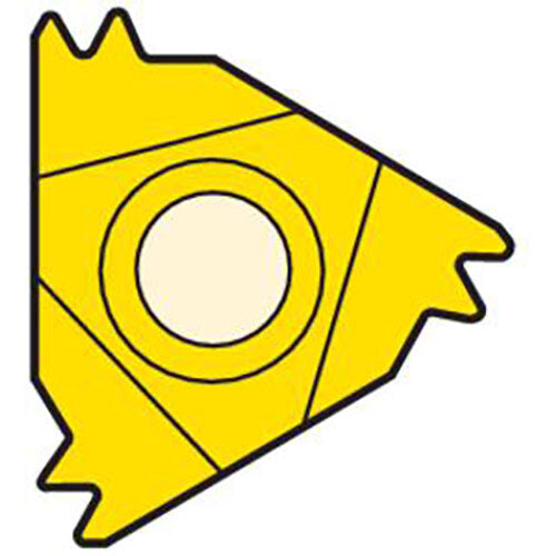 Thread Turning Insert 16ER - W Thread  Grade-CP500 (TT)3