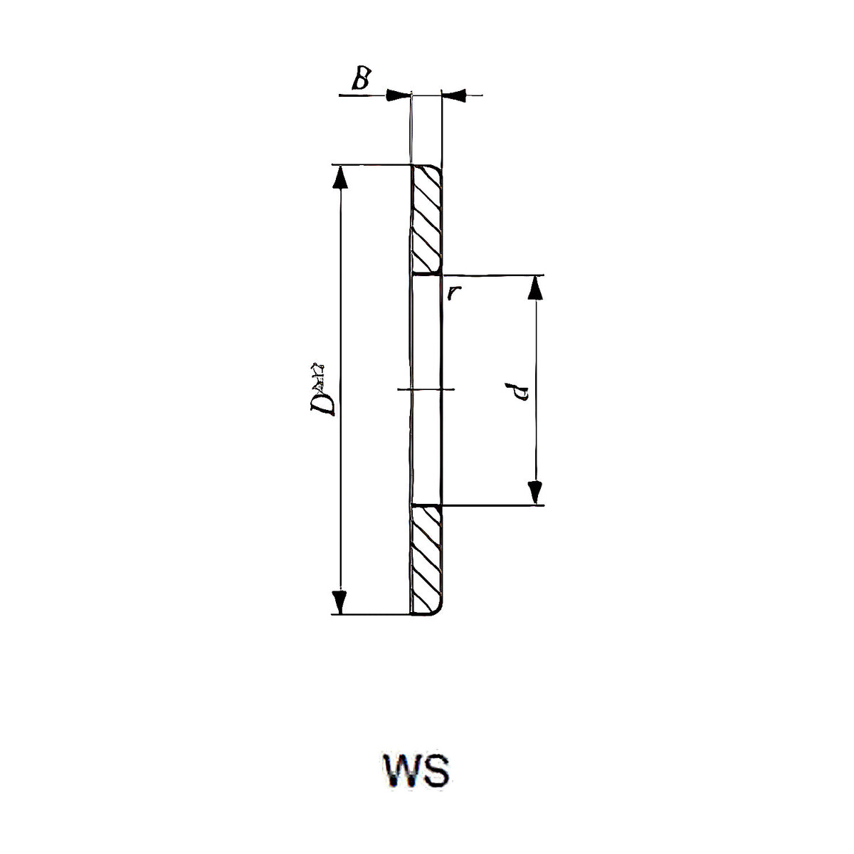 Thrust Needle Roller Bearing - Inner Ring (WS)