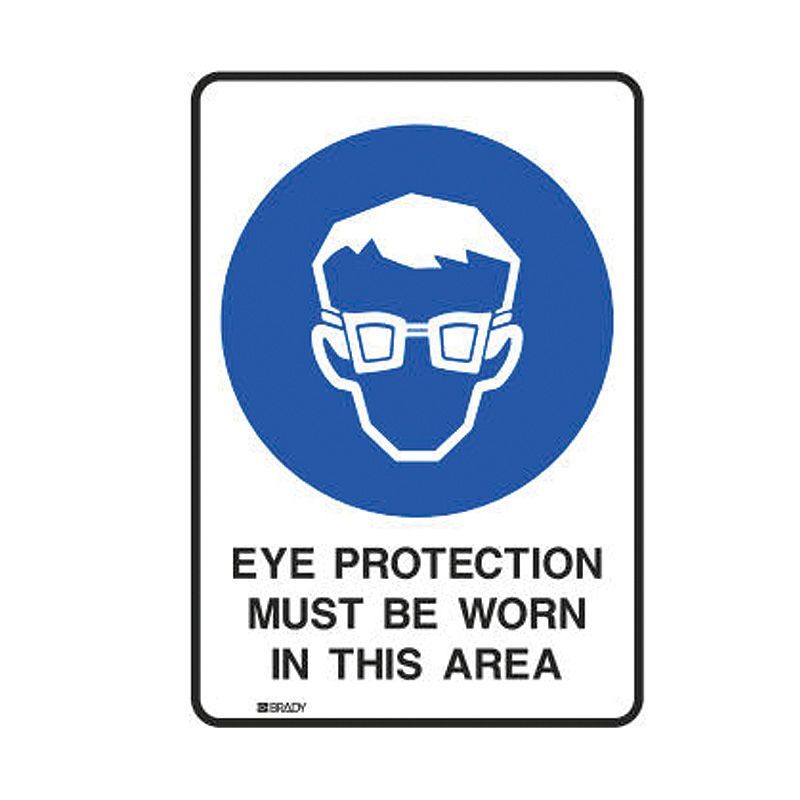 ToughWash Sign - Eye Protection Must Be Worn In This Area 254 x 177.8mm