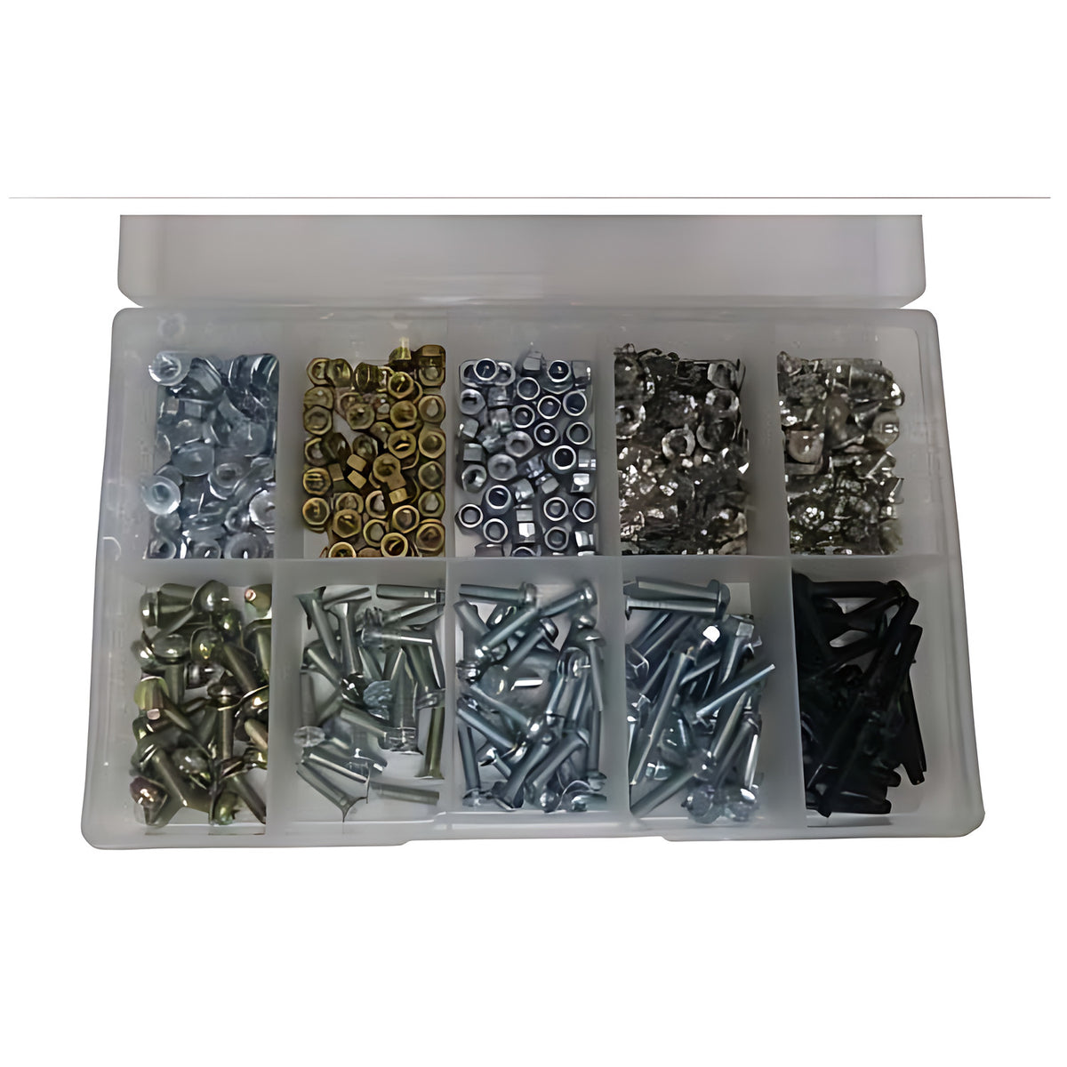 Trax ARX-M4V4F10 M4 brass and steel assortment in a clear compartment box with screws, nuts and inserts