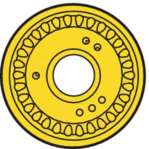 Turning Insert RCMX Insert Style - RR93 7° Grade TP253