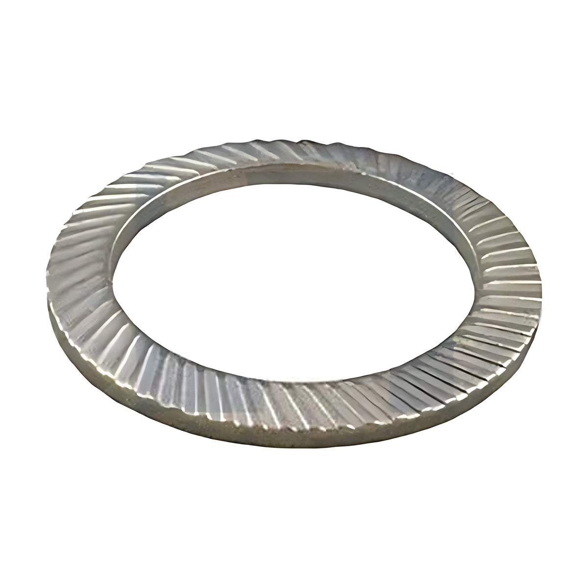 Schnorr Type VS safety washer, zinc plated, fine serrations across the silver ring face