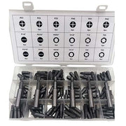 Workshop Buddy Drill Bit Inserts Grab Kit (PZ1 - T30), 114 Pieces - AIMS Industrial Supplies