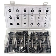 Workshop Buddy Drill Bit Inserts Grab Kit (PZ1 - T30), 114 Pieces1